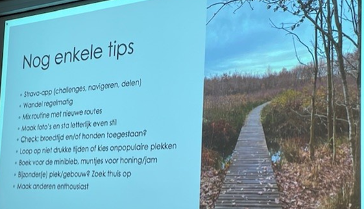 Afbeelding.wandelen.2