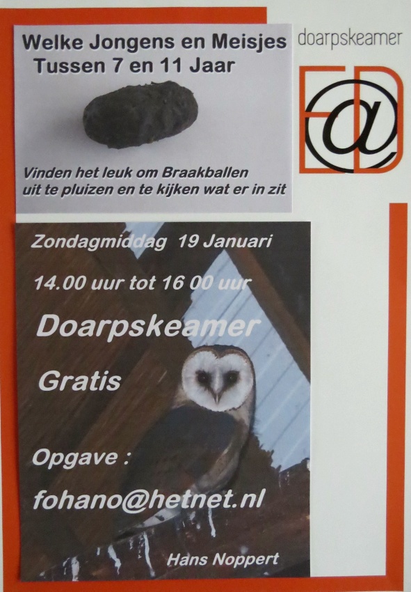 poster braakballen